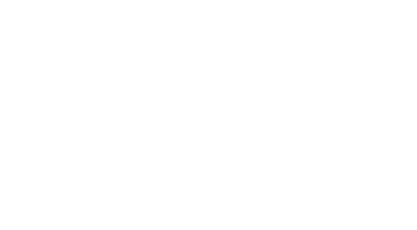 Shark Diving Mozambique